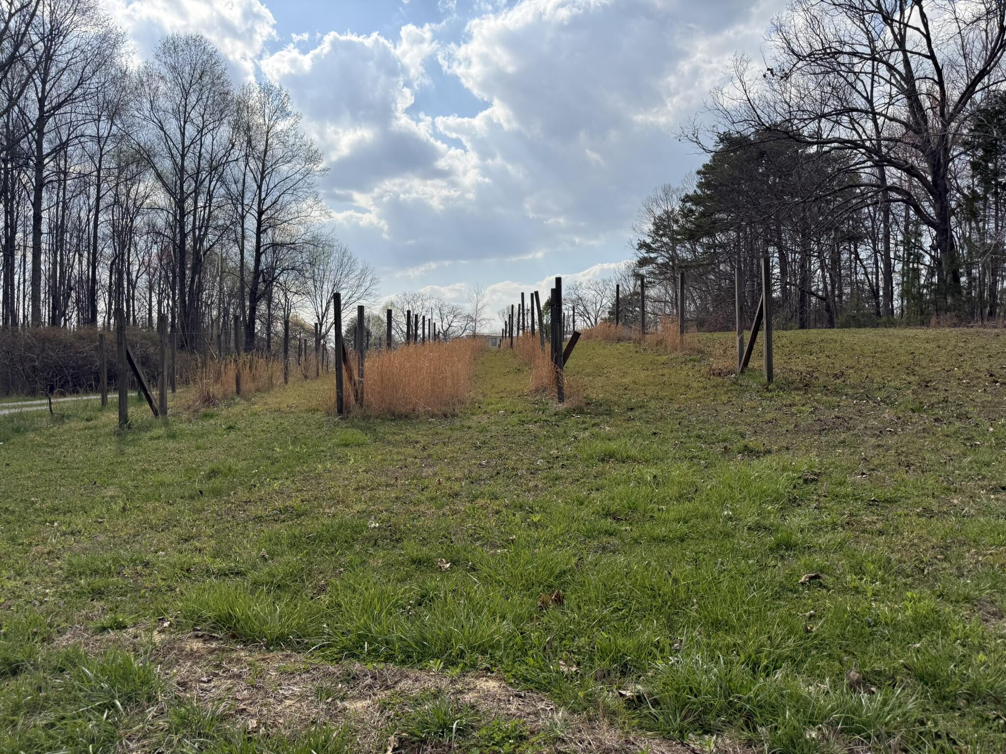 1932 Co Road Bryant, AL 35958 - Photo 4 of 30 IMG_1276