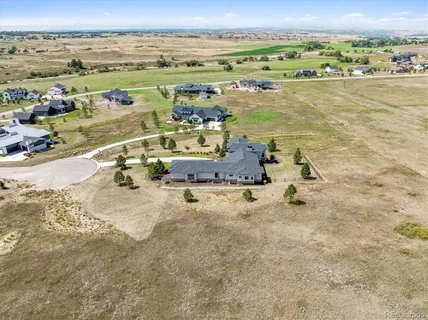 a view of a park with large trees