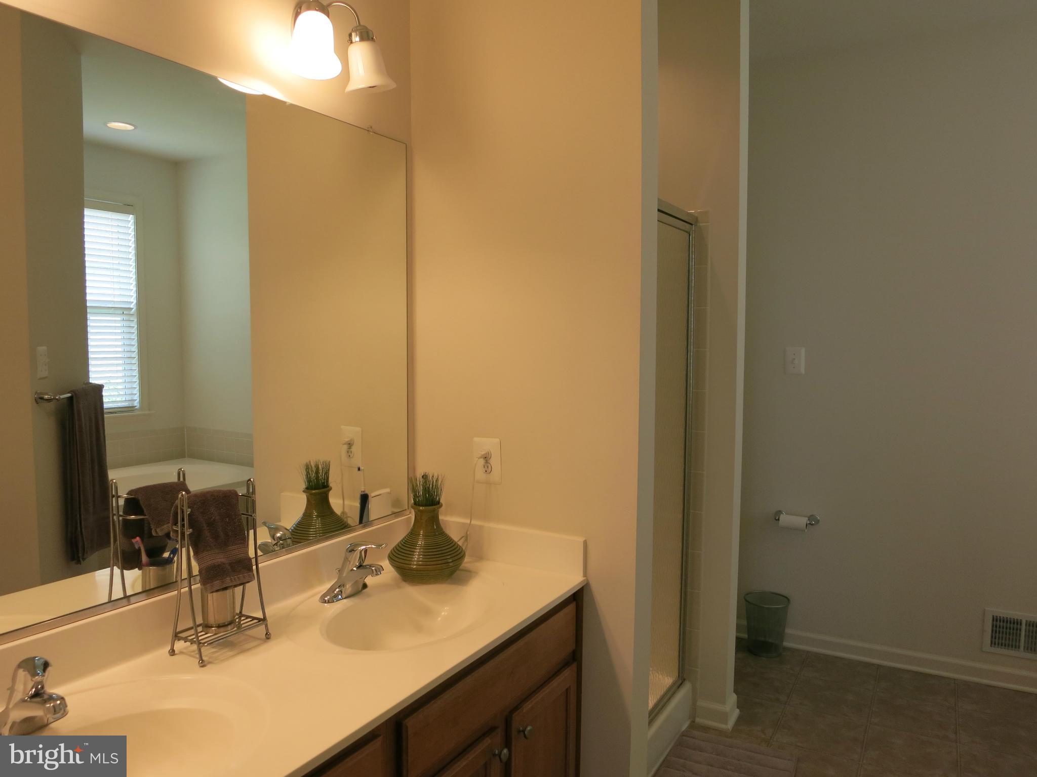 1603 Fletchers Lane Point of Rocks, MD 21777 - Photo 20 of 30 Bath (Master)