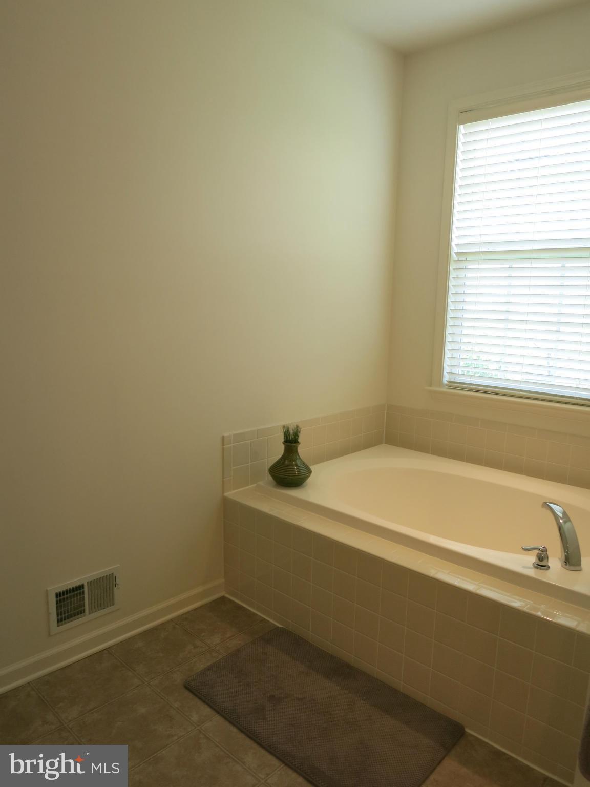 1603 Fletchers Lane Point of Rocks, MD 21777 - Photo 22 of 30 Bath (Master)