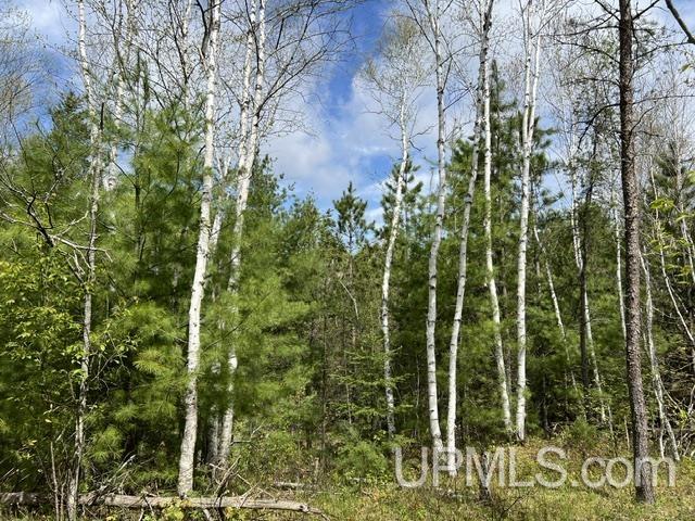 W8001 East Cataline Road Pembine, WI 54156 - Photo 22 of 27