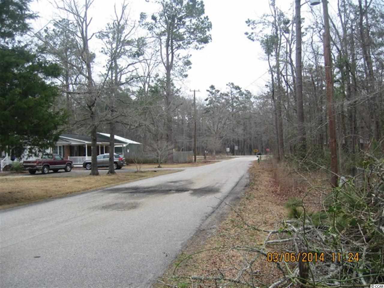 33 Limestone Road Kingstree, SC 29556 - Photo 8 of 20