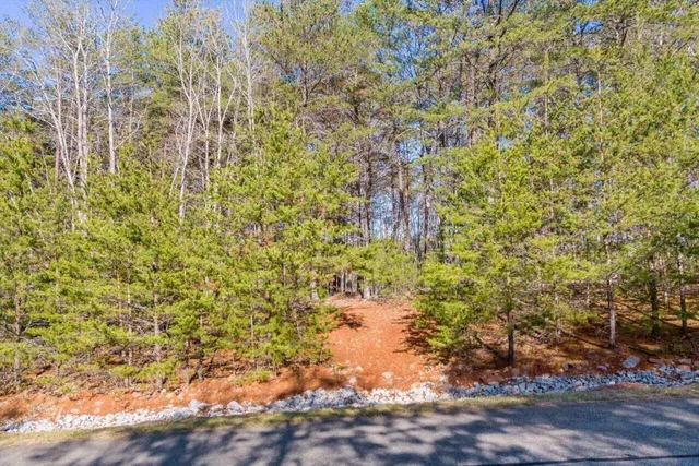 $37,000 | Lot 61 Garrison Ridge, Pittsville, VA 24139