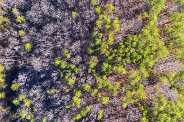 $37,000 | Lot 61 Garrison Ridge, Pittsville, VA 24139