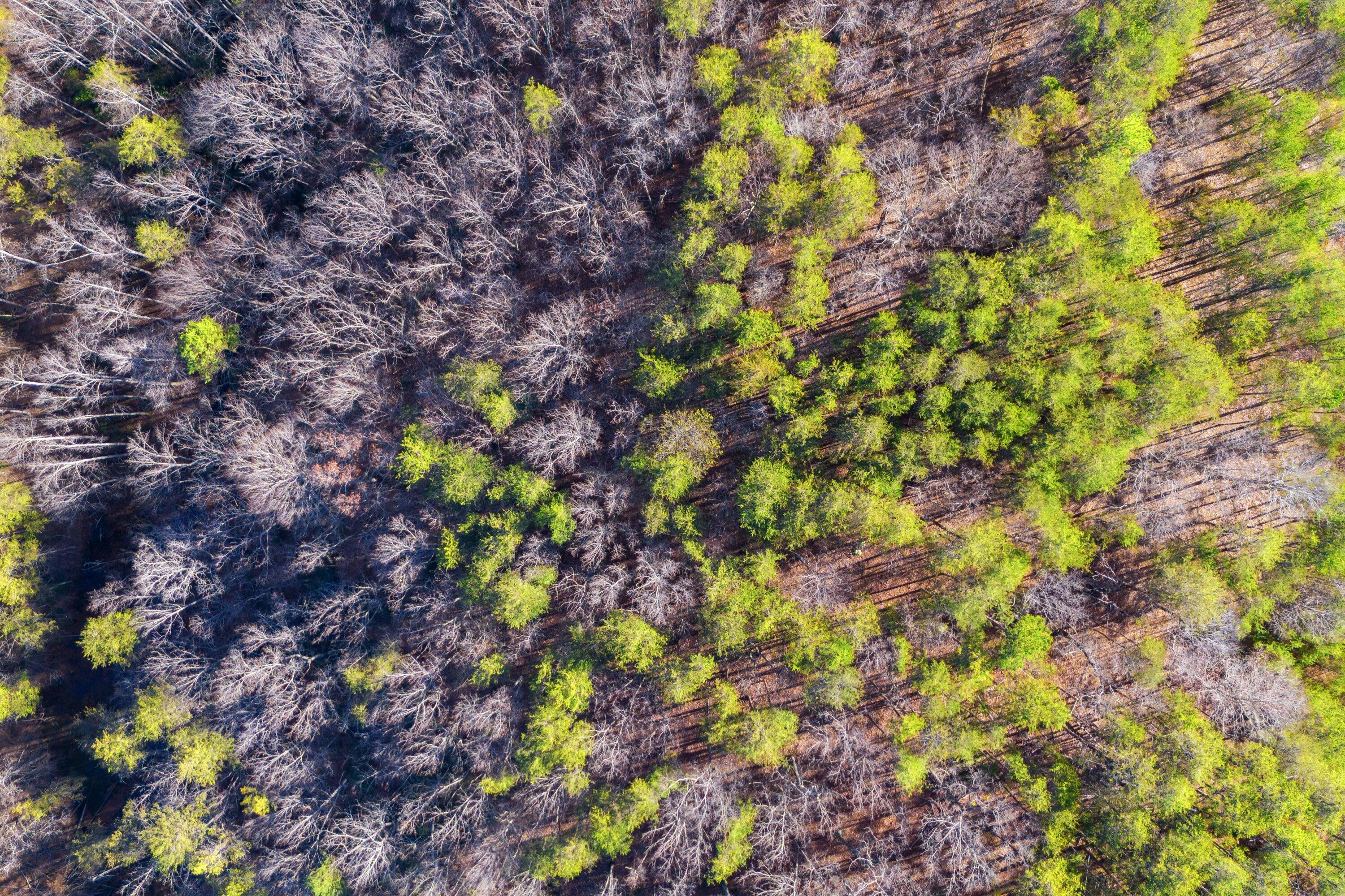 Lot 61 Garrison Ridge Pittsville, VA 24139 - Photo 4 of 7 17-Garrison Ridge Lot 61_17