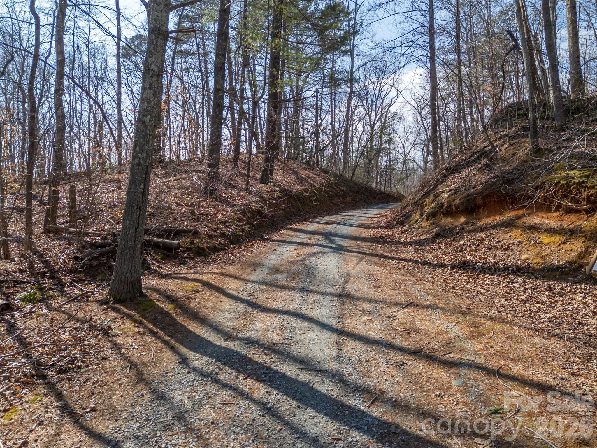 0 Judge Road Tryon, NC 28782 - Photo 11 of 28 a backyard of a house with lots of green space