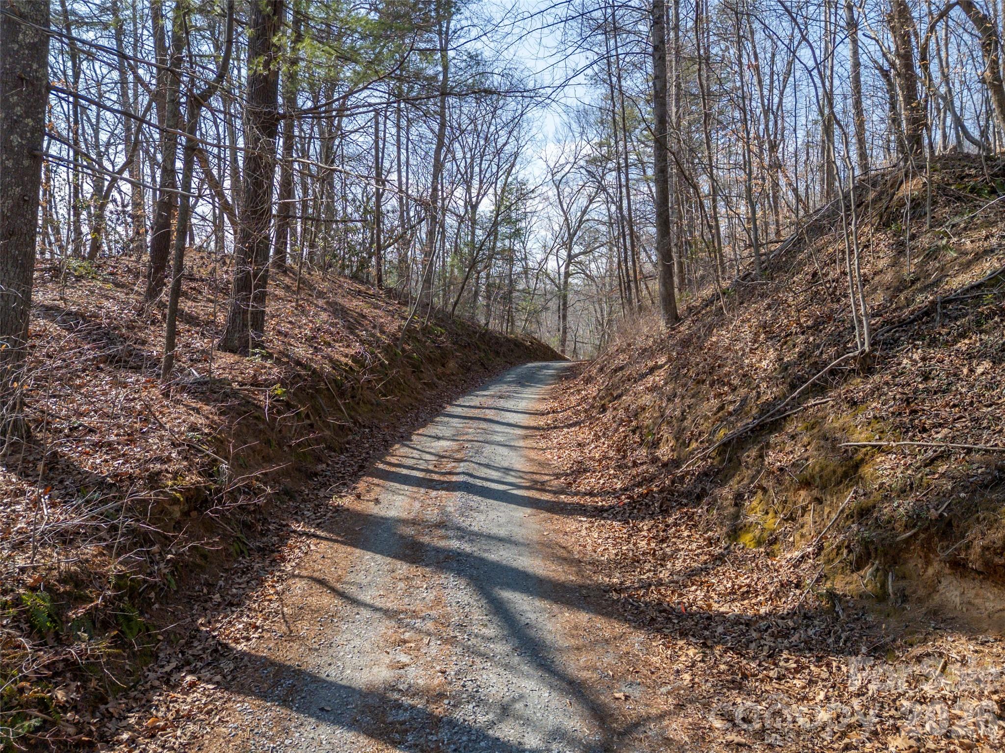 0 Judge Road Tryon, NC 28782 - Photo 12 of 28 a view of pathway and trees
