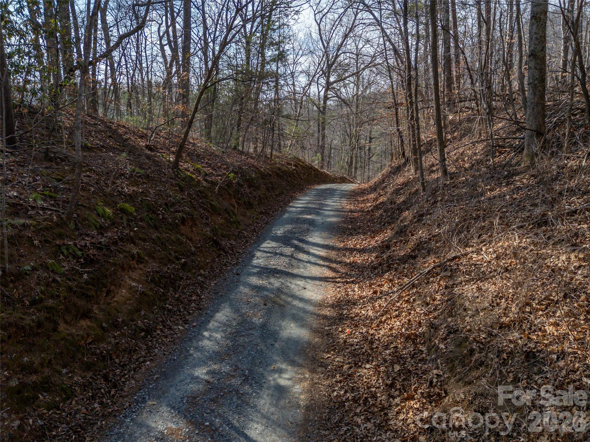 0 Judge Road Tryon, NC 28782 - Photo 13 of 28 a view of a yard with trees