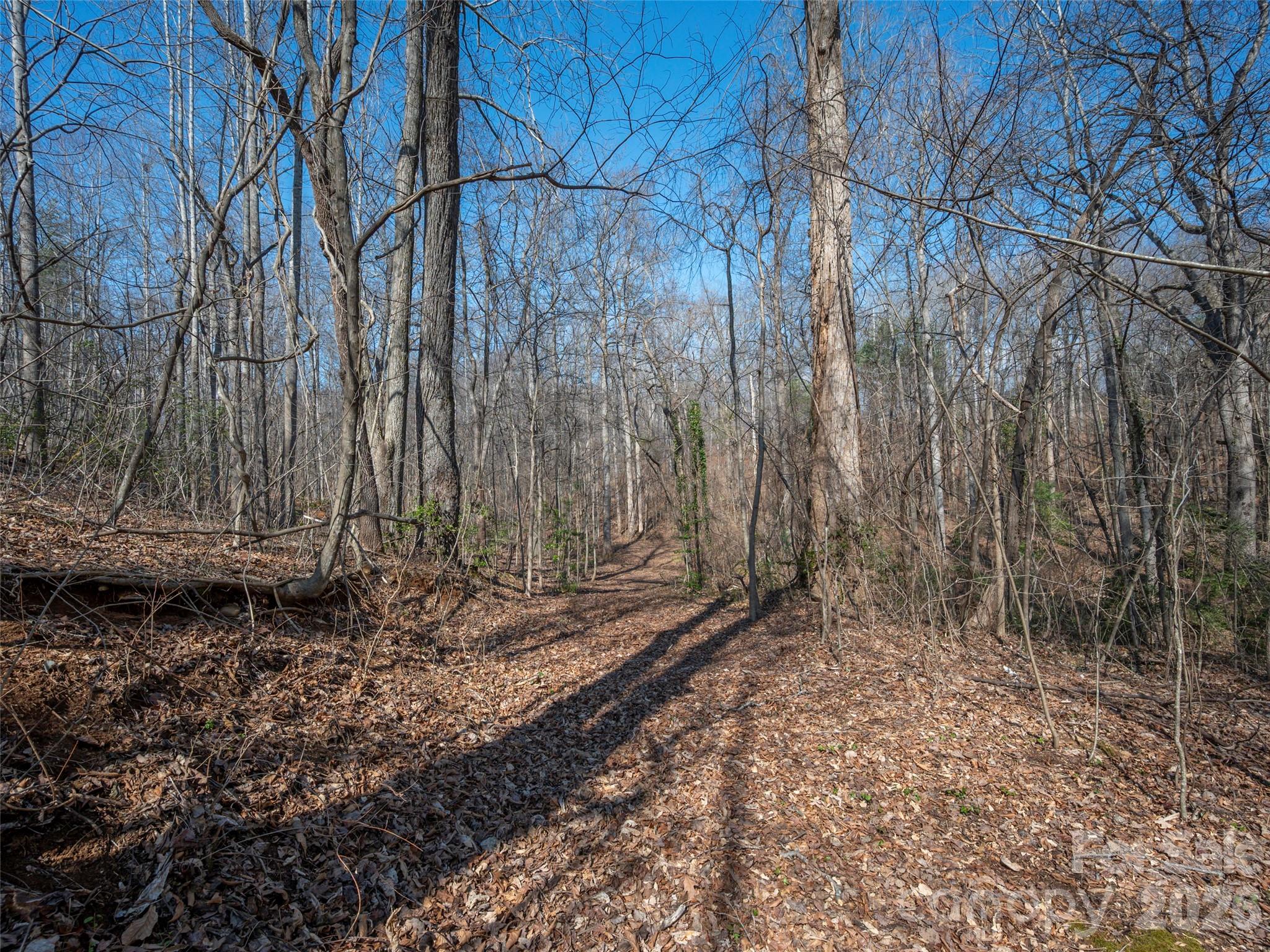 0 Judge Road Tryon, NC 28782 - Photo 17 of 28 a view of a yard with trees