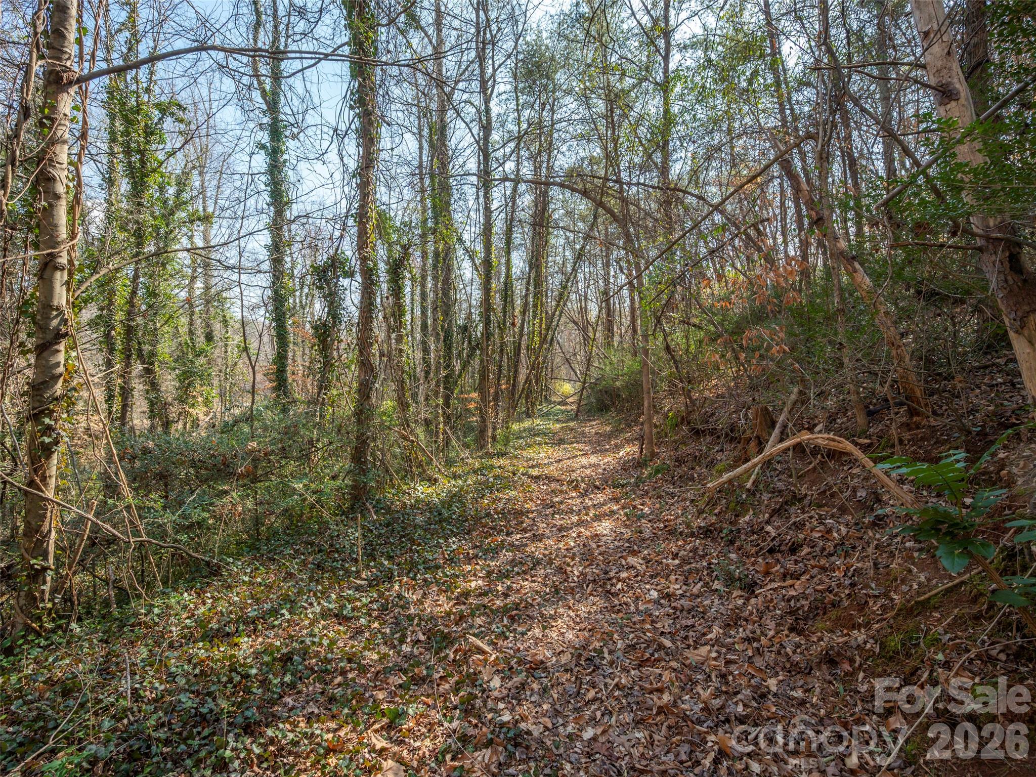 0 Judge Road Tryon, NC 28782 - Photo 18 of 28 a view of forest