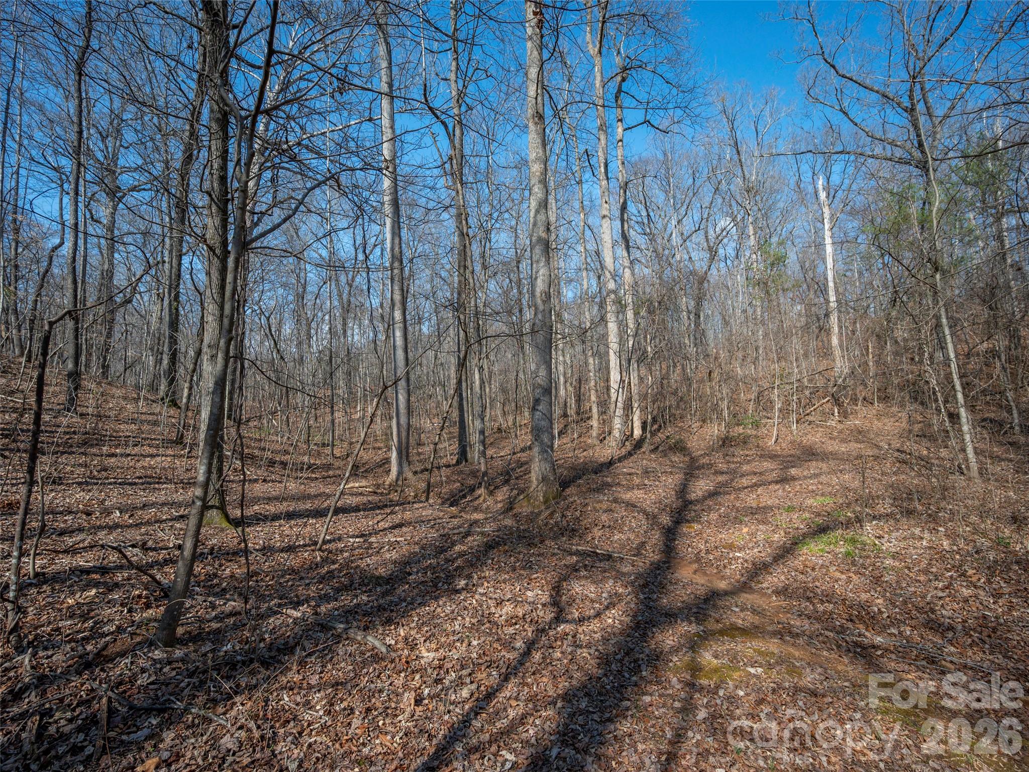 0 Judge Road Tryon, NC 28782 - Photo 19 of 28 a view of a backyard with large trees