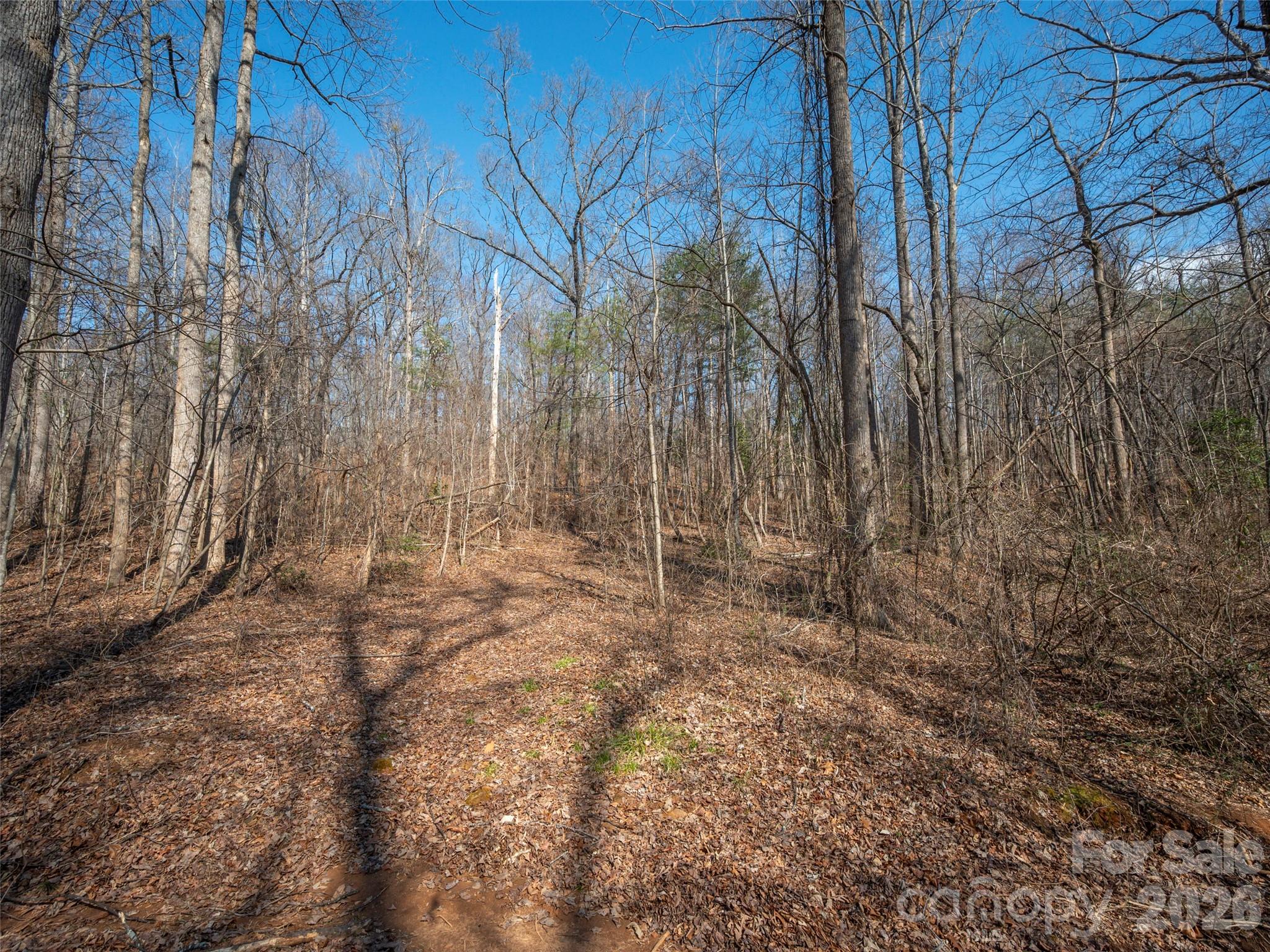 0 Judge Road Tryon, NC 28782 - Photo 20 of 28 a view of a yard with trees