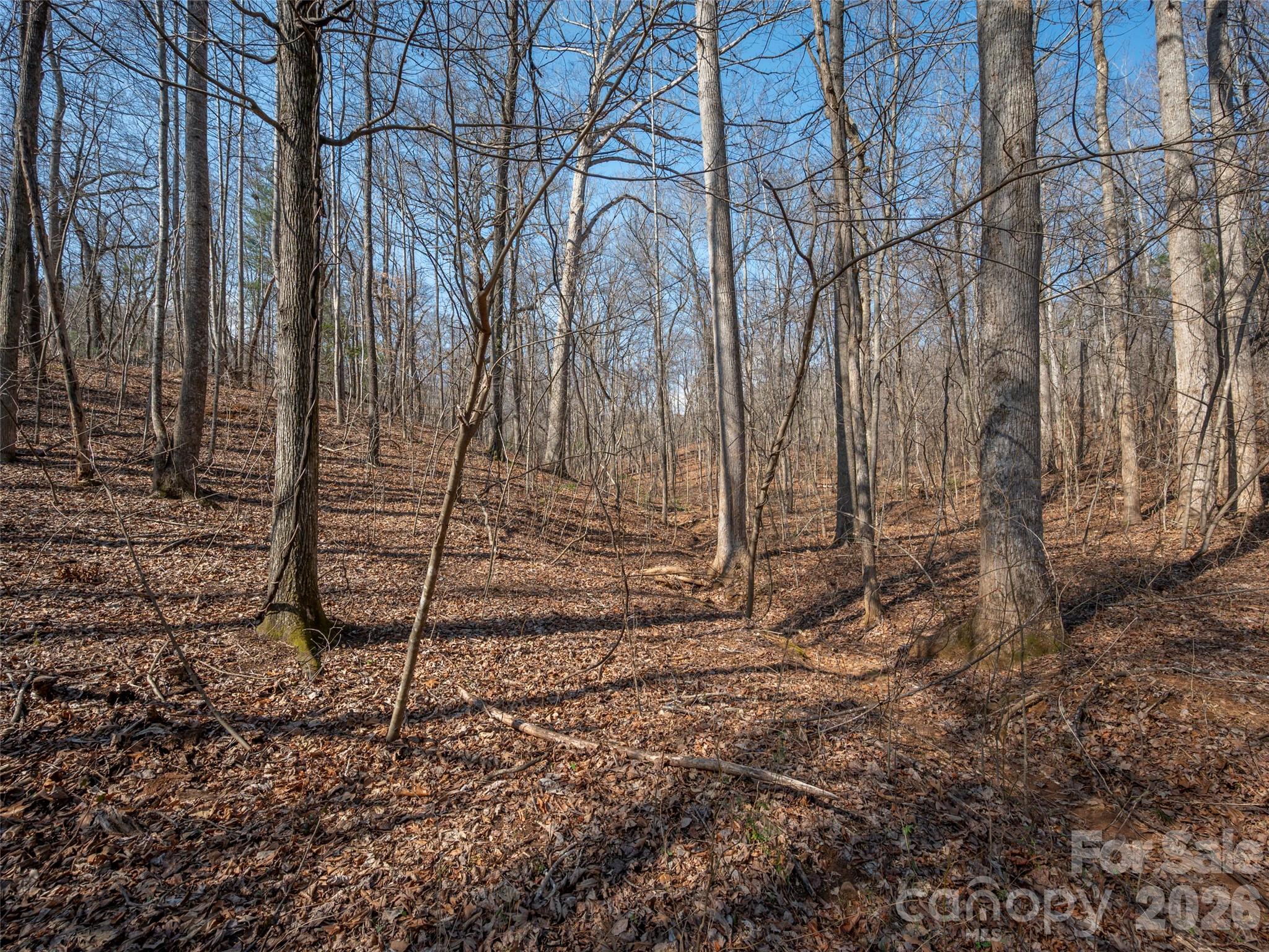 0 Judge Road Tryon, NC 28782 - Photo 21 of 28 a backyard of a house with lots of green space