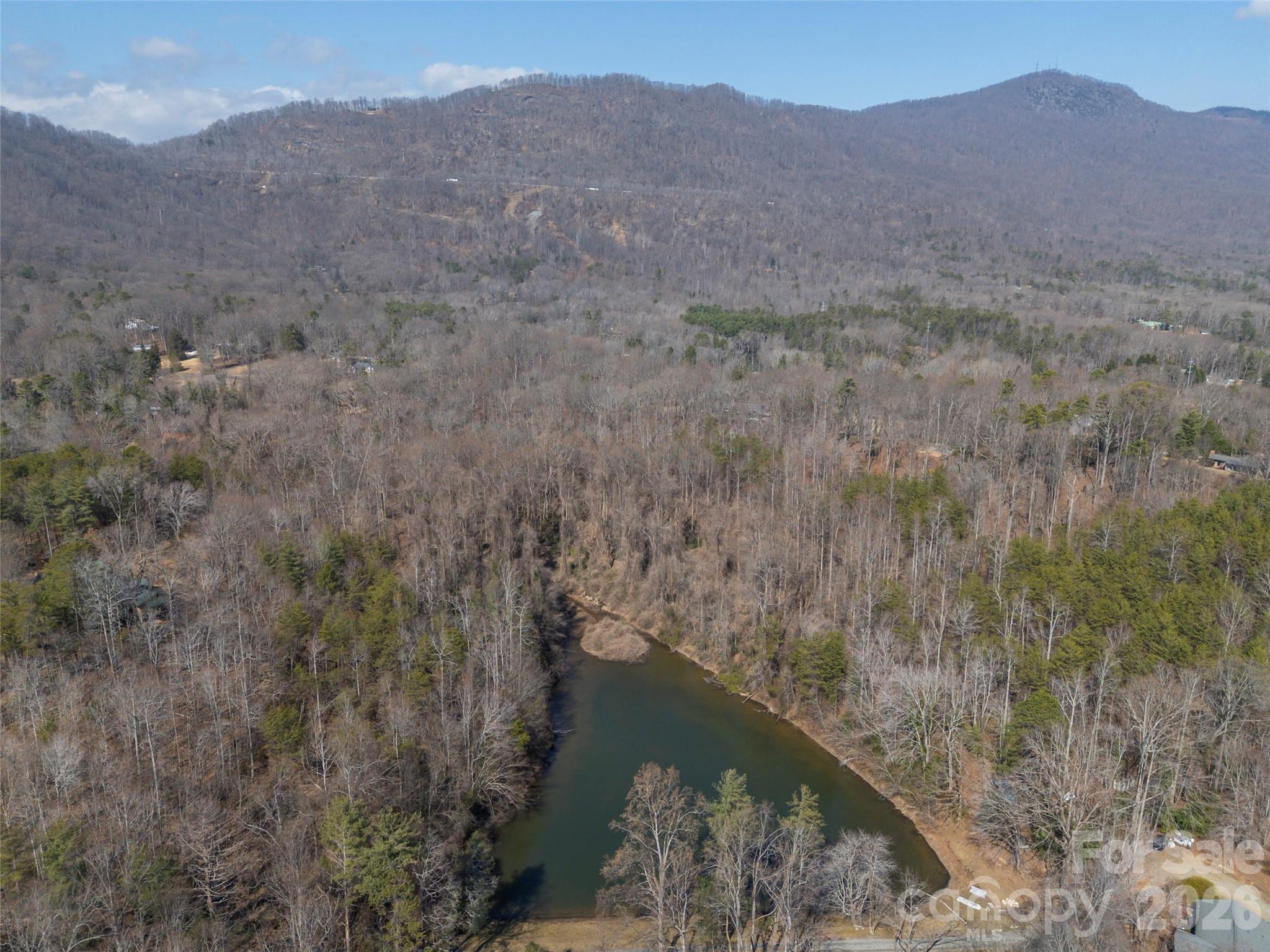 0 Judge Road Tryon, NC 28782 - Photo 3 of 28 a view of a mountain from a yard