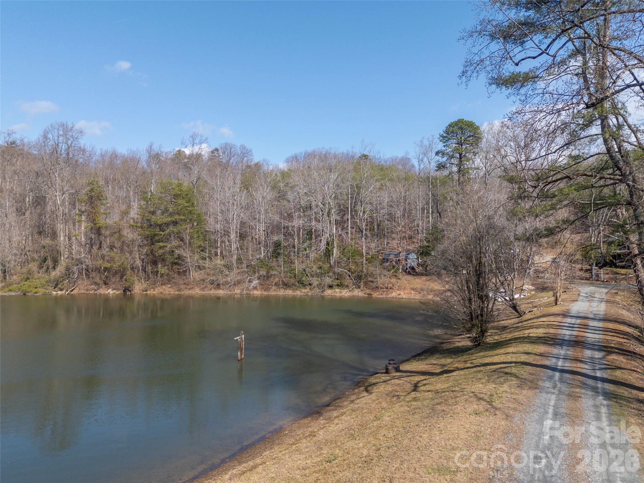 0 Judge Road Tryon, NC 28782 - Photo 4 of 28
