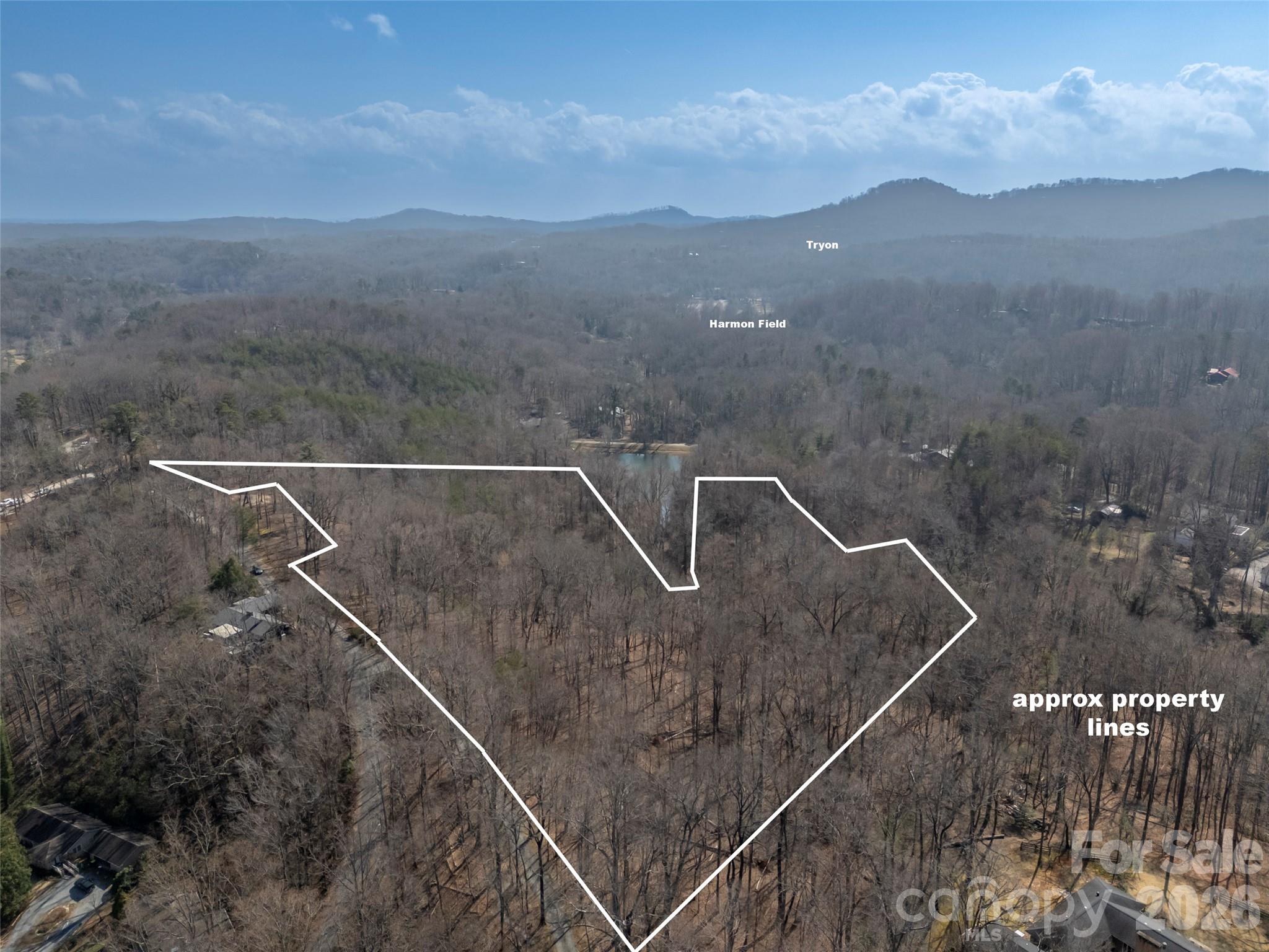 0 Judge Road Tryon, NC 28782 - Photo 6 of 28