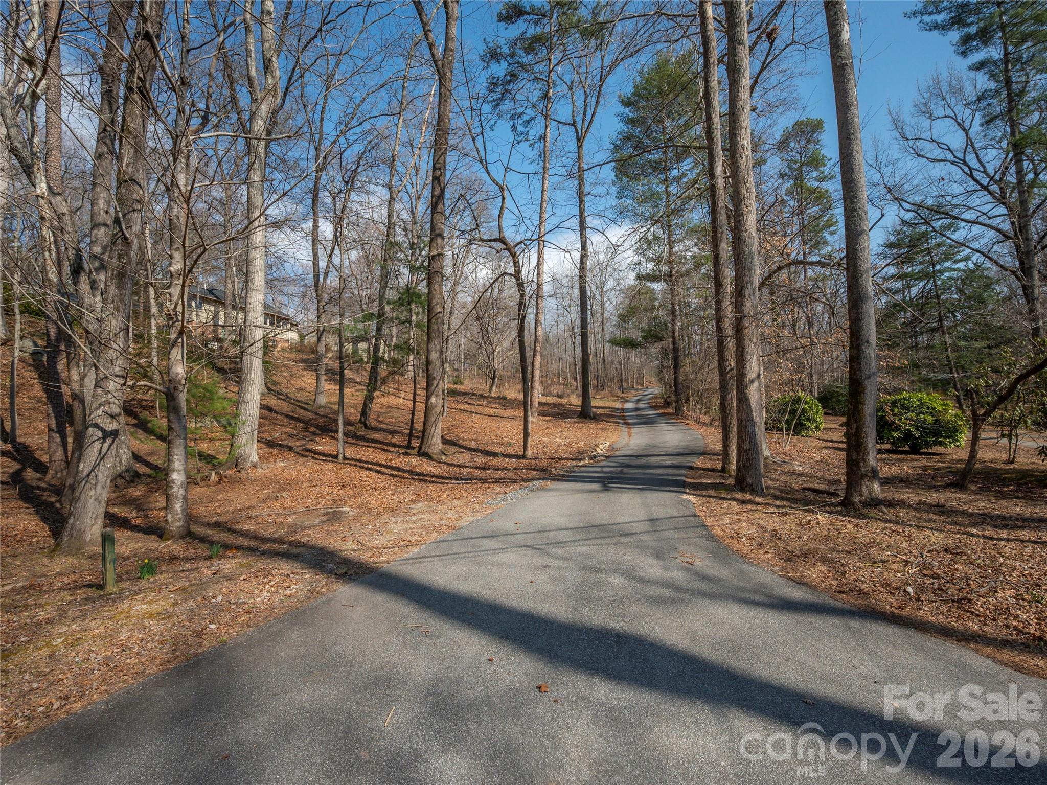 0 Judge Road Tryon, NC 28782 - Photo 9 of 28 a view of a yard with trees