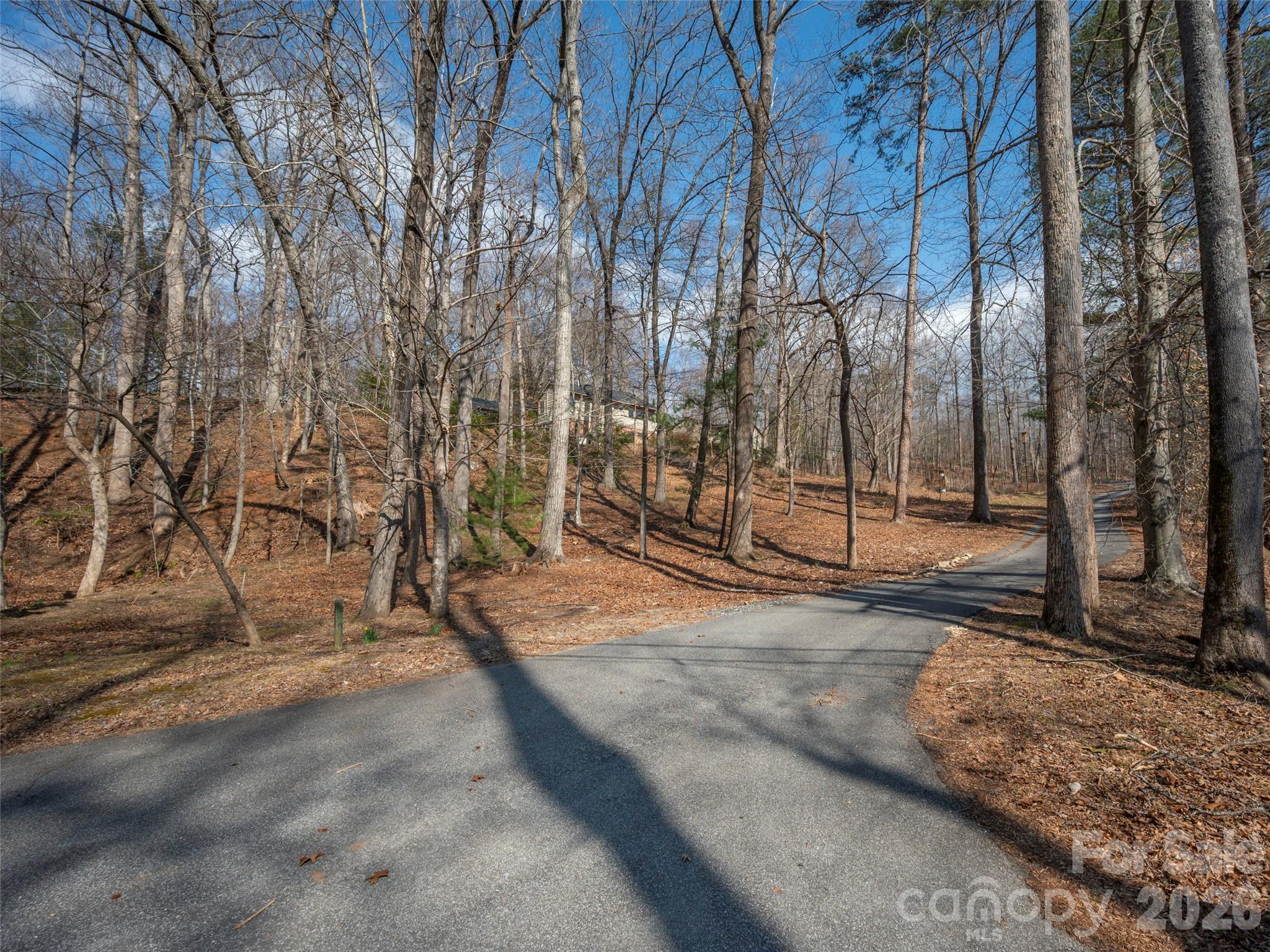 0 Judge Road Tryon, NC 28782 - Photo 10 of 28 a backyard of a house with lots of green space
