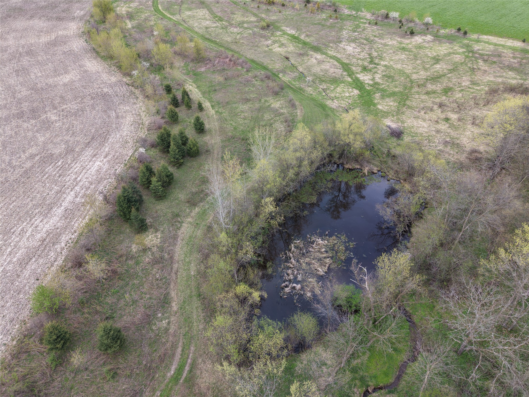 N7265 County Rd BB Spring Valley, WI 54767 - Photo 32 of 41