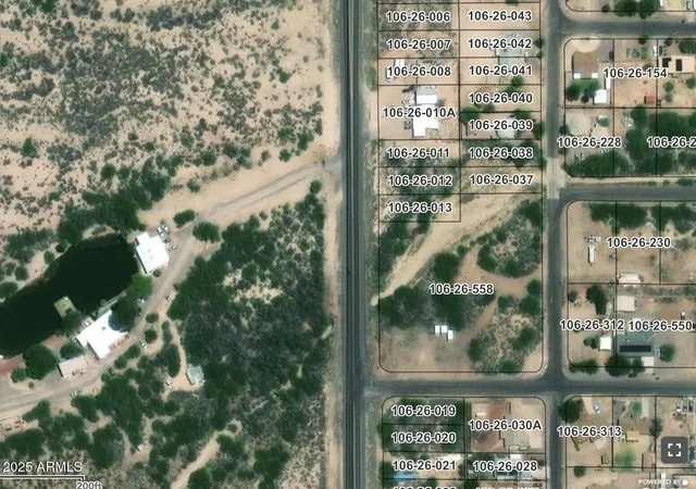 a view of a glass door with a tree
