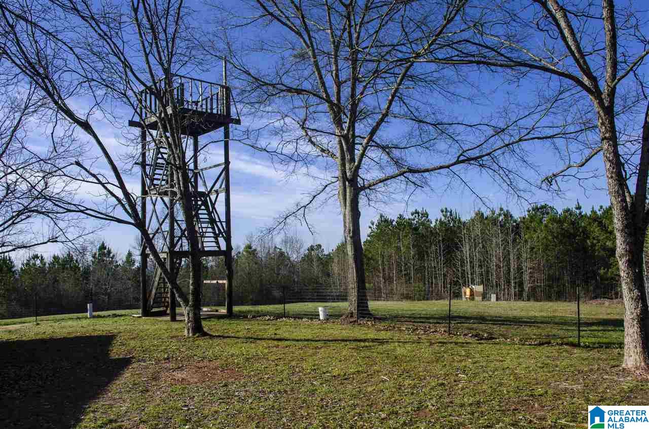 3364 County Road 329 Wedowee, AL 36278 - Photo 24 of 39
