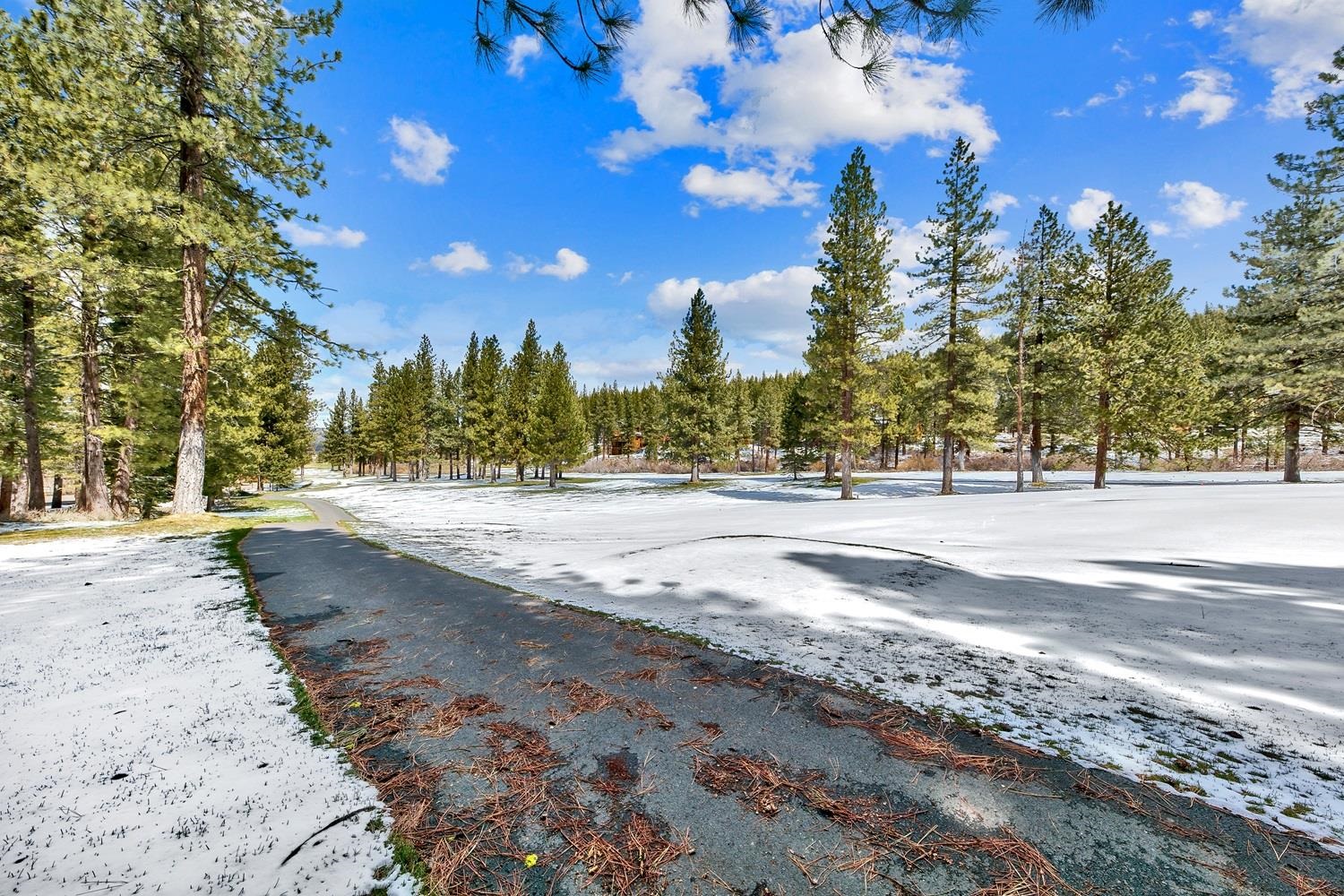 164 Basque Drive Truckee, CA 96161 - Photo 13 of 21 a view of road with trees