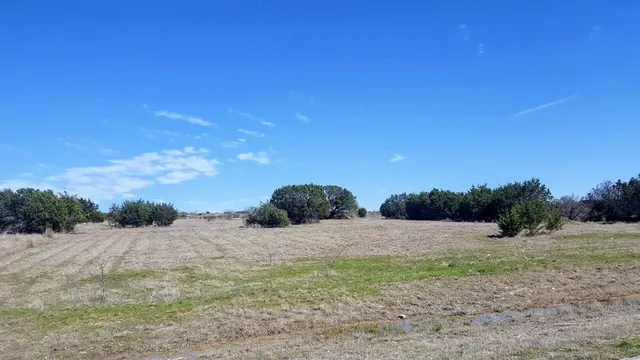 a view of a field with a tree in the background