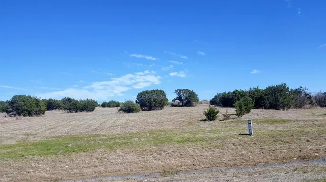 a view of a dry yard with trees