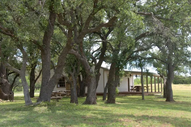 a view of a park with large trees