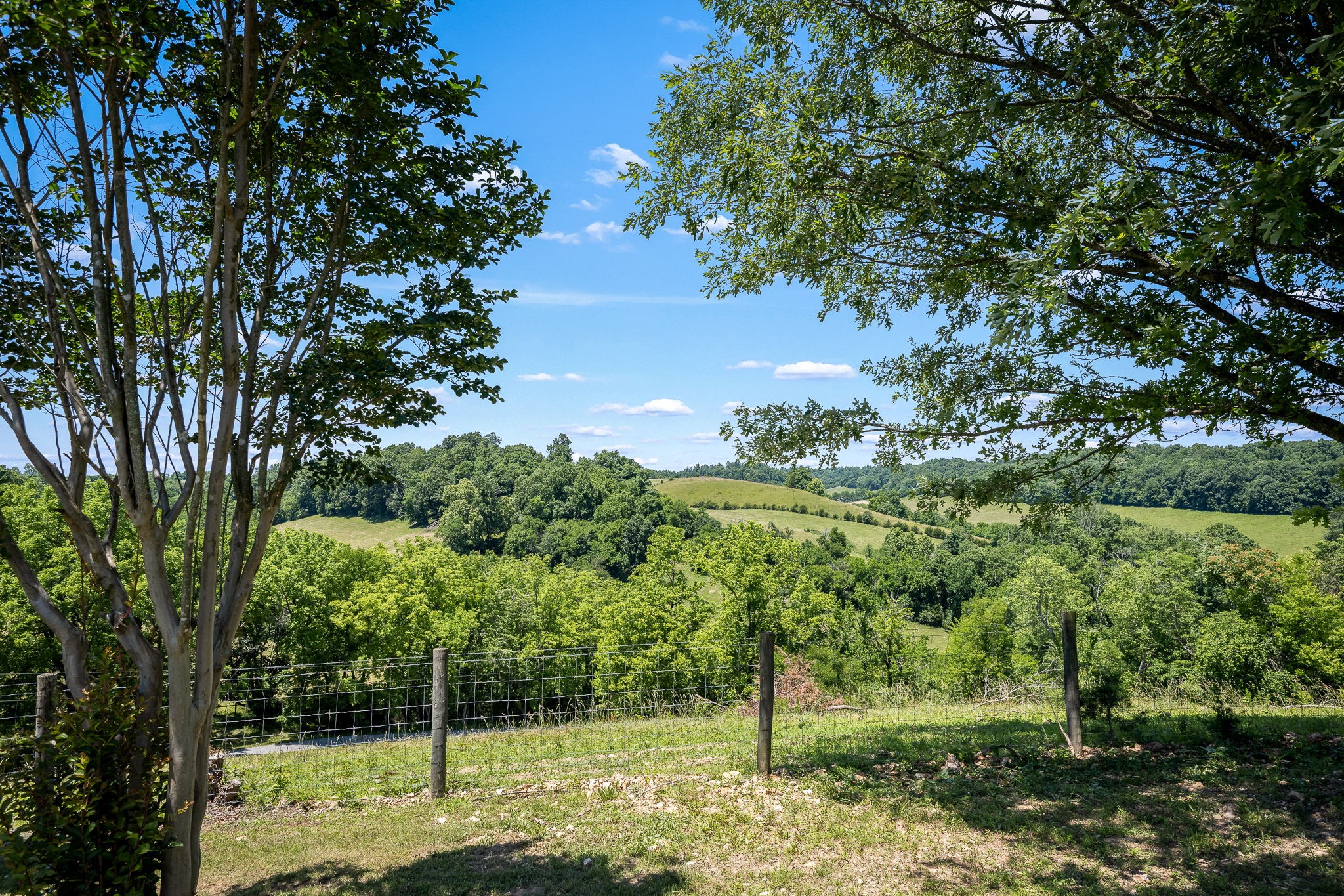 499 Mt Herman Road Shelbyville, TN 37160 - Photo 82 of 100