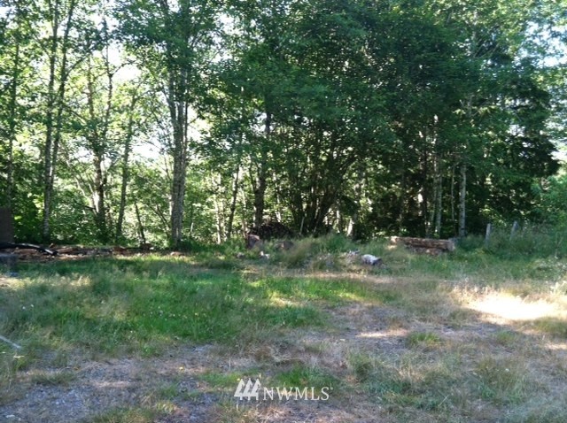 825 Whitcomb Diimmel Road Forks, WA 98331 - Photo 3 of 4 Gallery Image 3