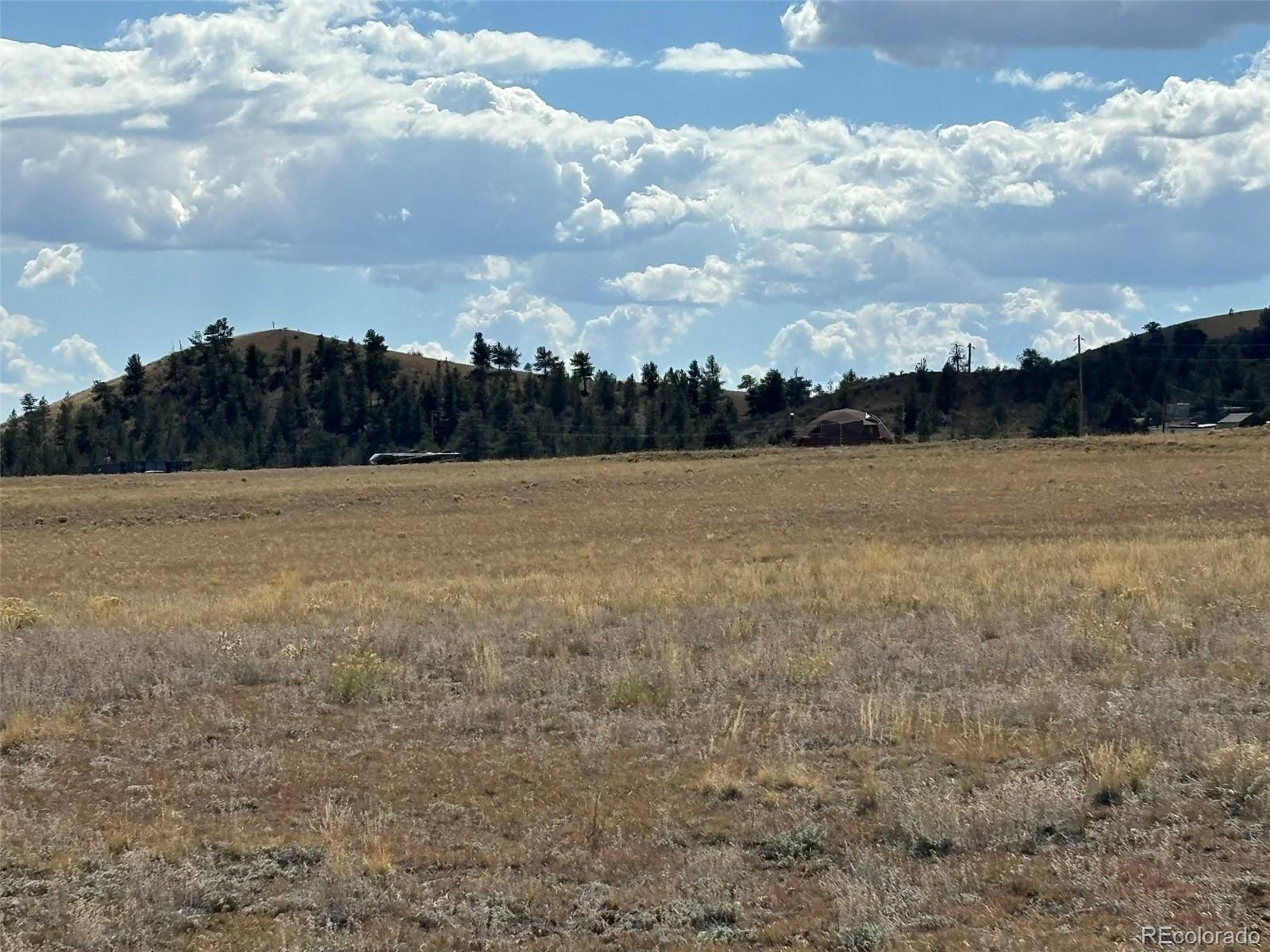 818 Summit Road Hartsel, CO 80449 - Photo 21 of 22 a view of an outdoor space and a yard