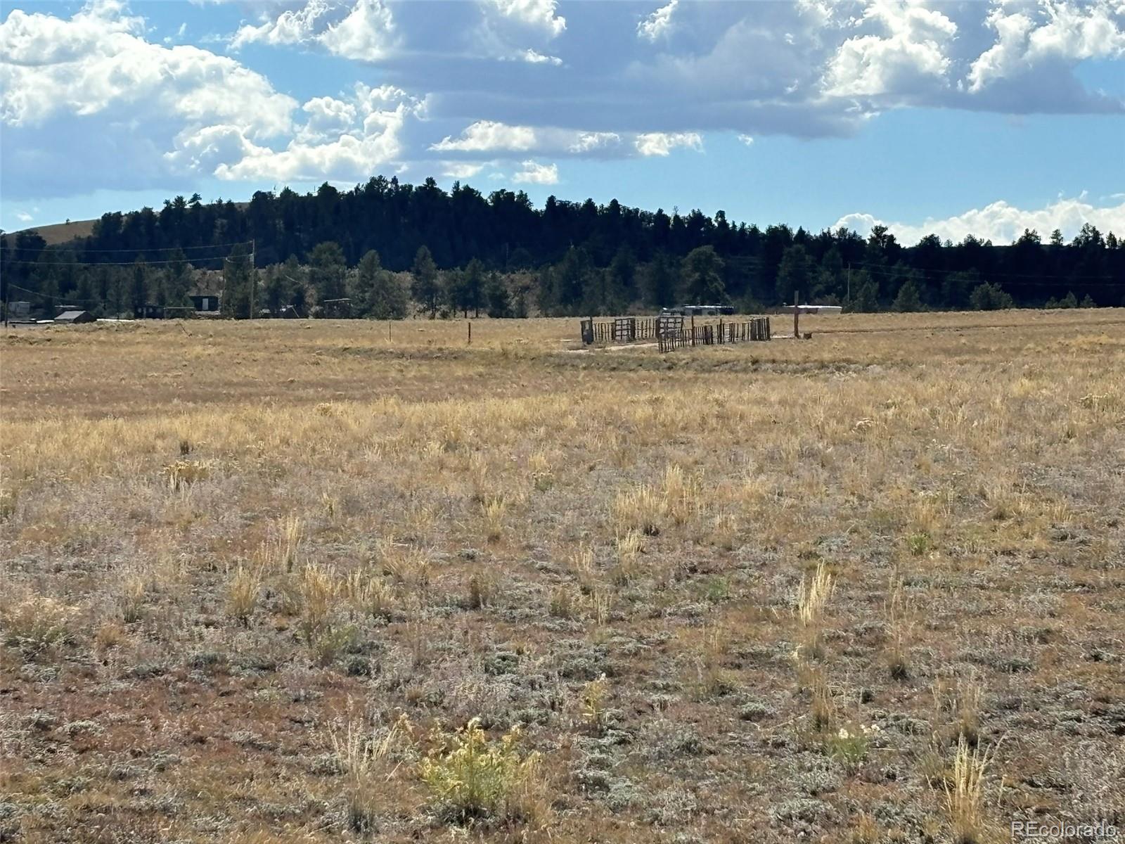 818 Summit Road Hartsel, CO 80449 - Photo 6 of 22 a view of a field with a view of lake