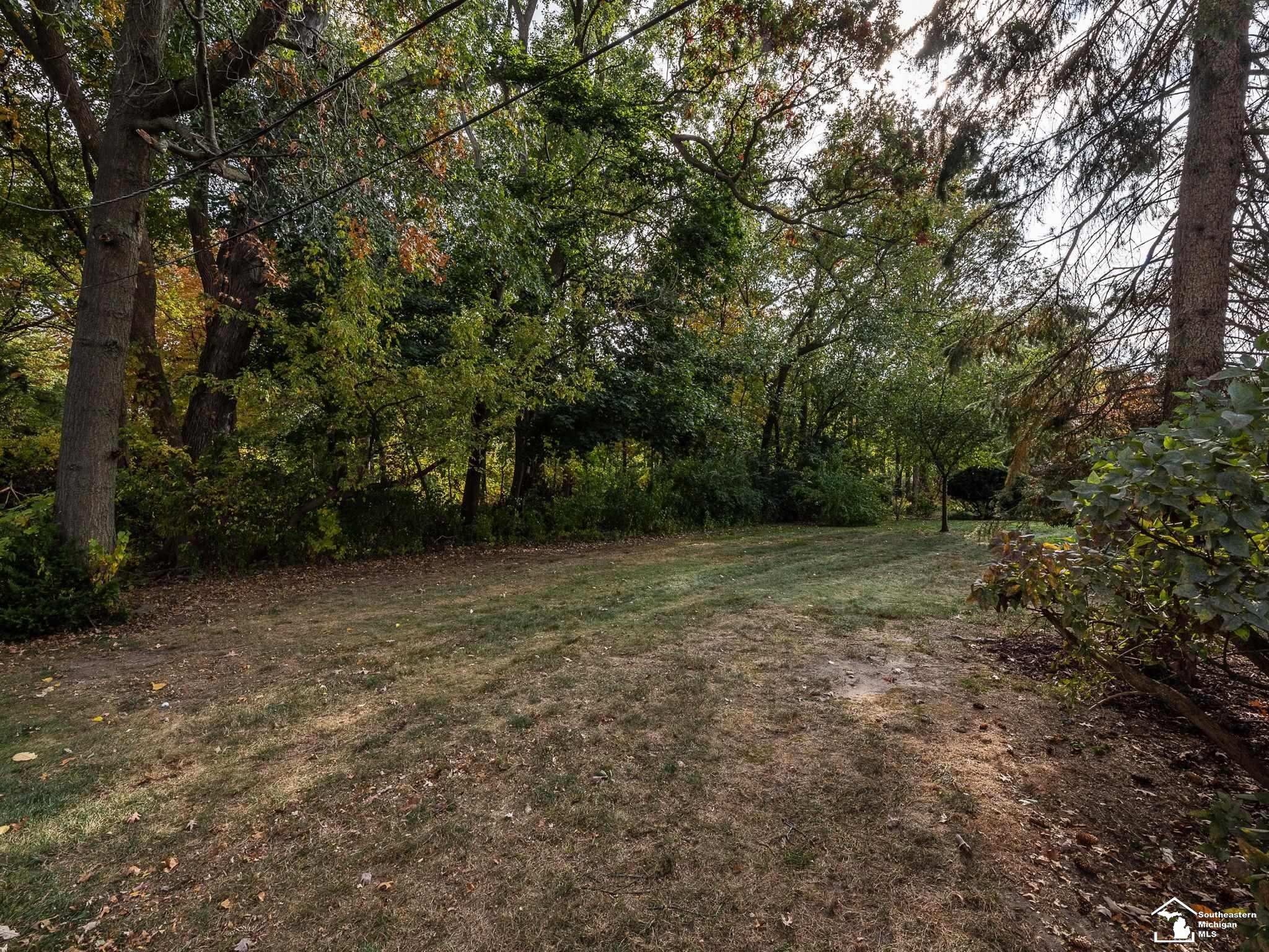 314 Cole Road Monroe, MI 48162 - Photo 49 of 55 50093242-48.JPG