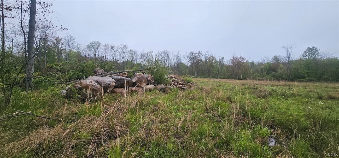 Rotterdam Road Sodus, NY 14551 - Photo 5 of 25