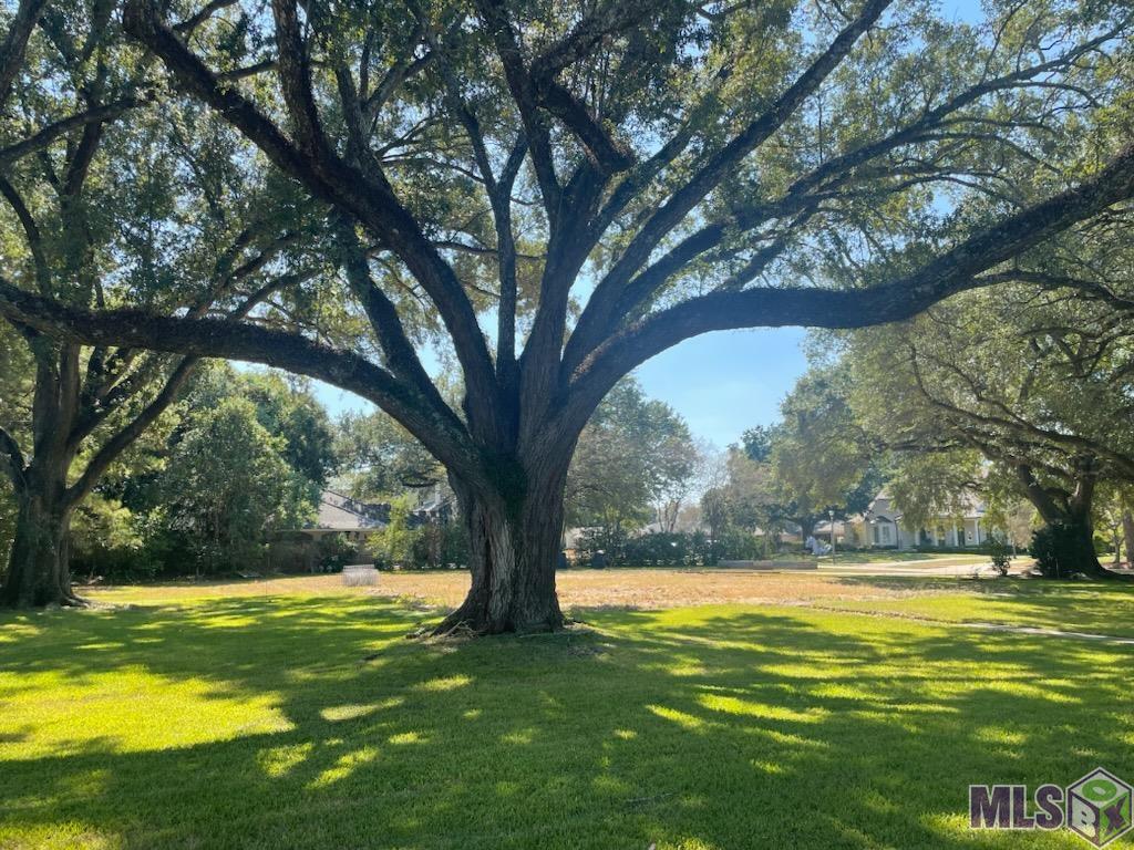 7312 Boyce Drive Baton Rouge, LA 70809 - Photo 1 of 7 Gallery Image 1