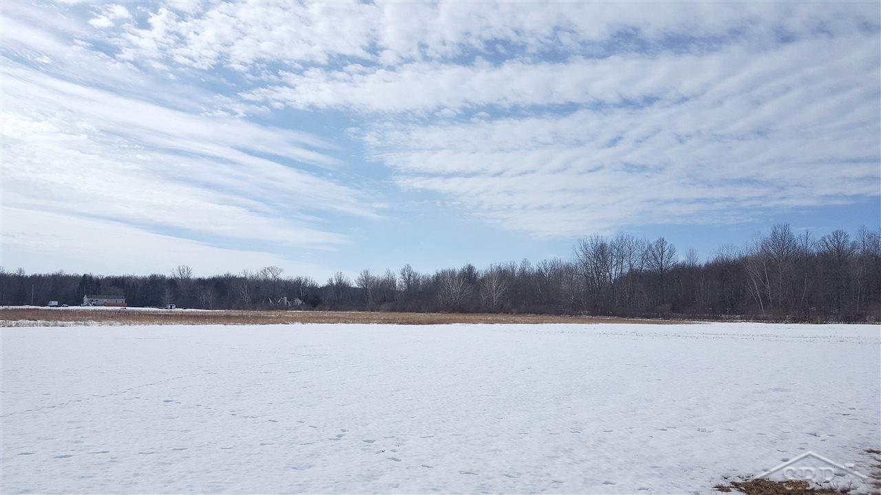 4800 South Orr Road Hemlock, MI 48626 - Photo 46 of 64 Hay Field