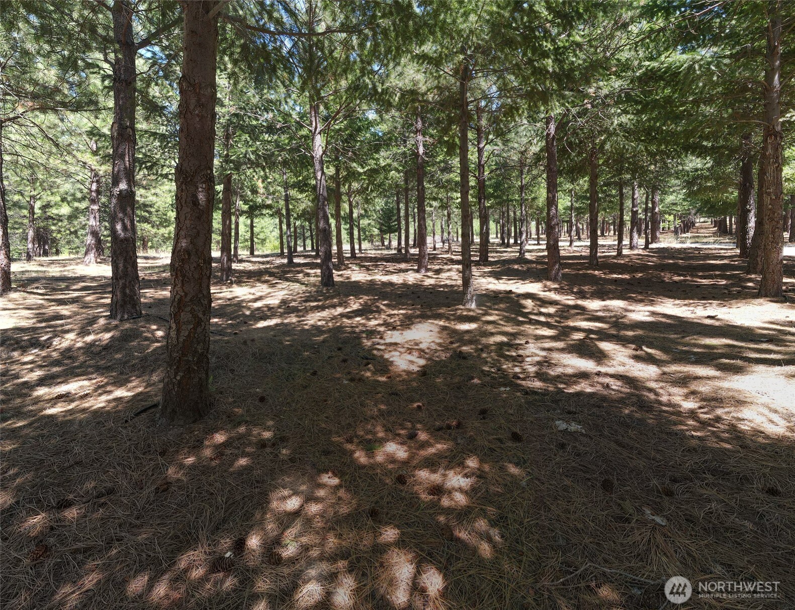 13537 Entiat River Road Entiat, WA 98822 - Photo 37 of 40 a view of outdoor space with trees
