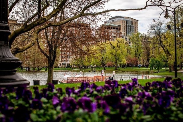 a view of yard with fountain and flowers