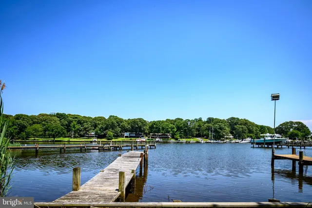 a view of a house with backyard and trees