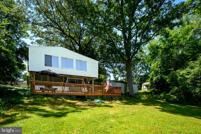 a view of a backyard with large trees