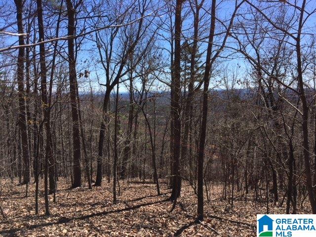 295 Horsley Road Ashville, AL 35953 - Photo 18 of 20