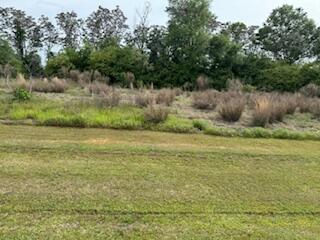 0 Cason Creek Road Louisville, GA 30434 - Photo 1 of 3 IMG_1819