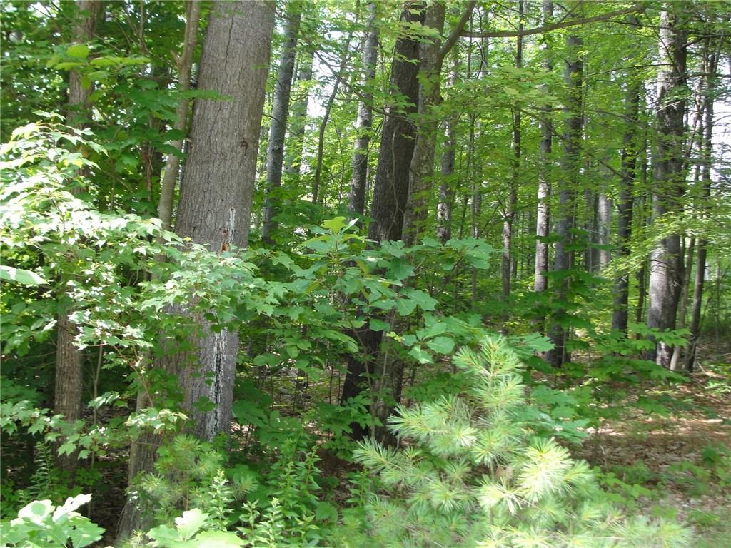 0 South Bridgton Road Bridgton, ME 04009 - Photo 3 of 11 Photo