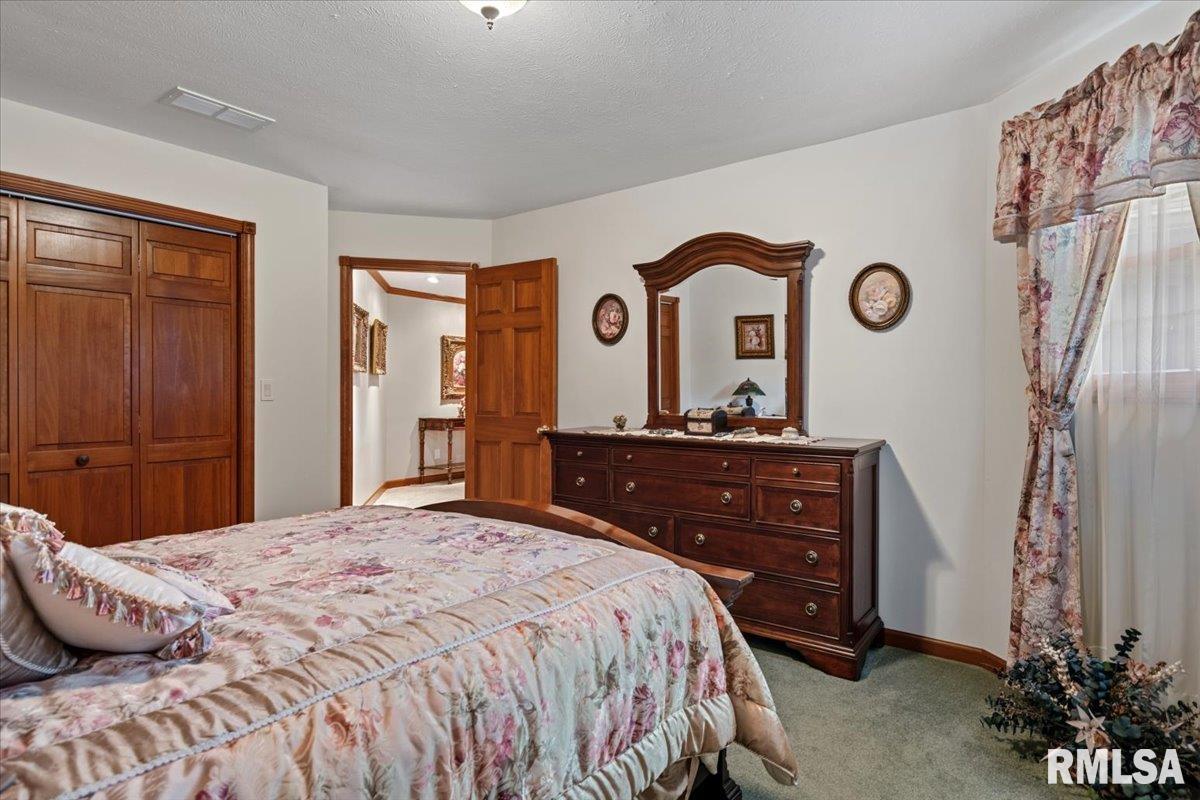 49 Woodland Trail Rochester, IL 62563 - Photo 55 of 98