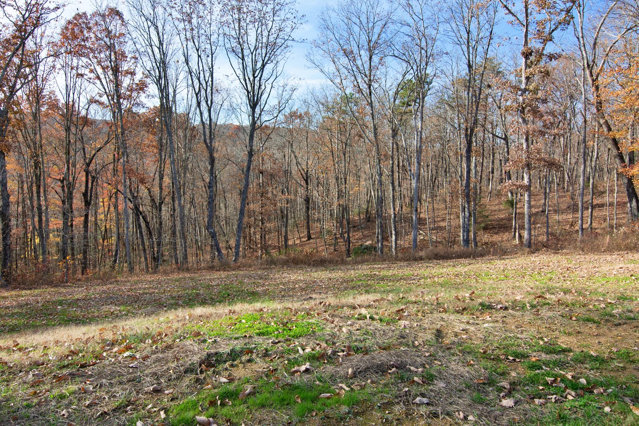 430 Gray Creek Road Graysville, TN 37338 - Photo 12 of 105 430 Gray Creek Rd-83