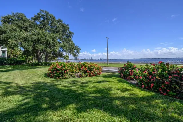 a palm tree sitting in front of a house with a big yard