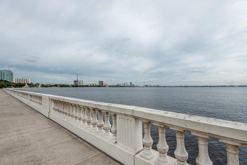 3325 Bayshore Boulevard, Unit A17 Tampa, FL 33629 - Photo 30 of 31 a view of city and a lake view