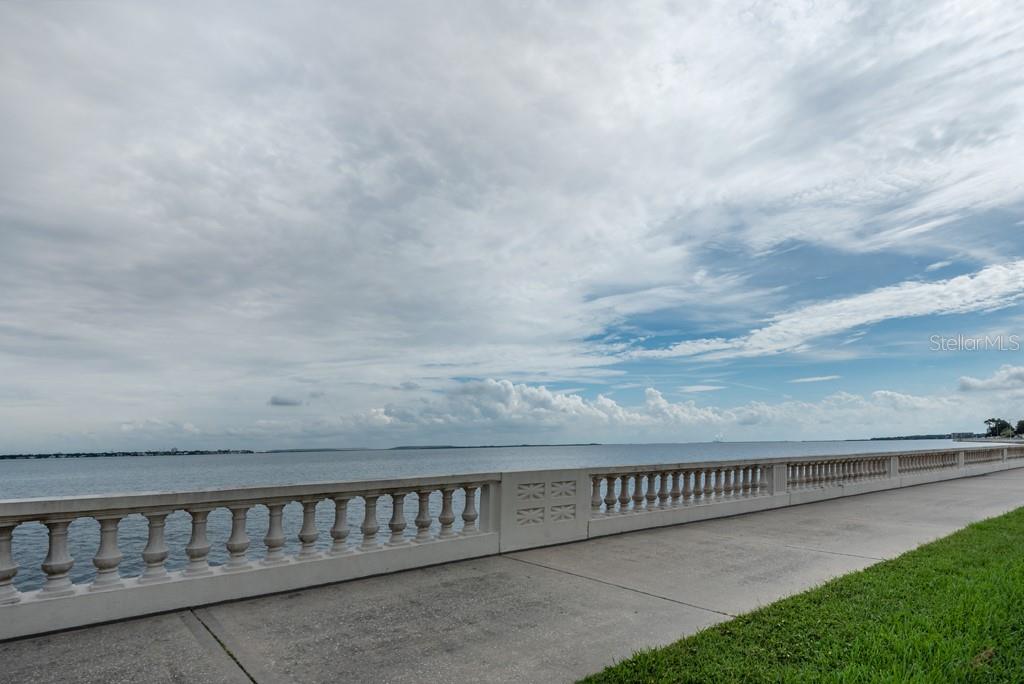 3325 Bayshore Boulevard, Unit A17 Tampa, FL 33629 - Photo 31 of 31 a view of a pathway with a big yard