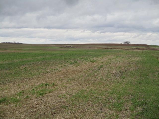 Tbd Tbd Tbd Sarles, ND 58372 - Photo 2 of 8 Gallery Image 2